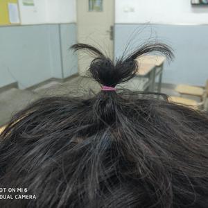 久青草视频免费观看青
